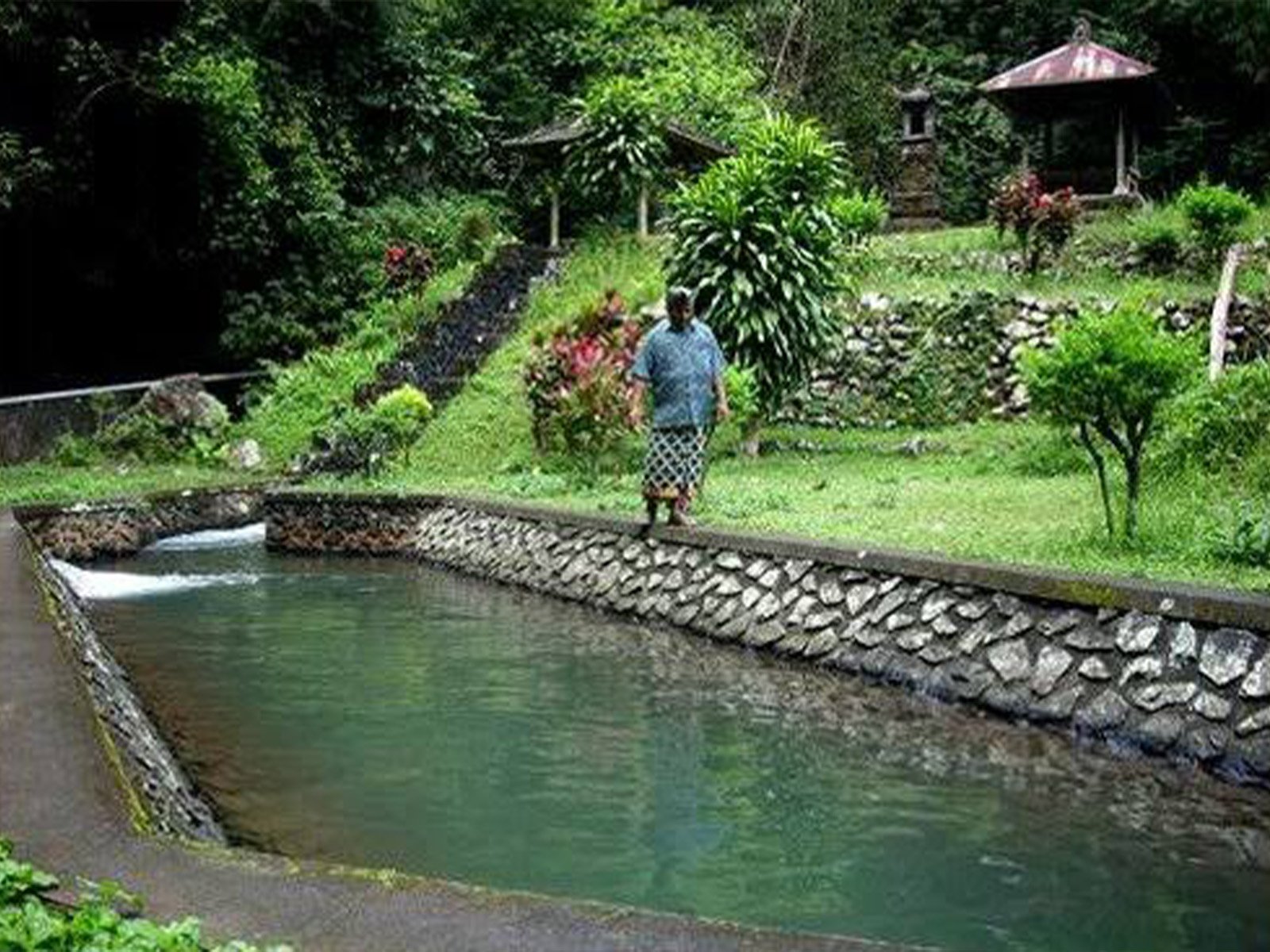 Water Conservation and Sustainable Farming at Subak, Tirtagangga Village