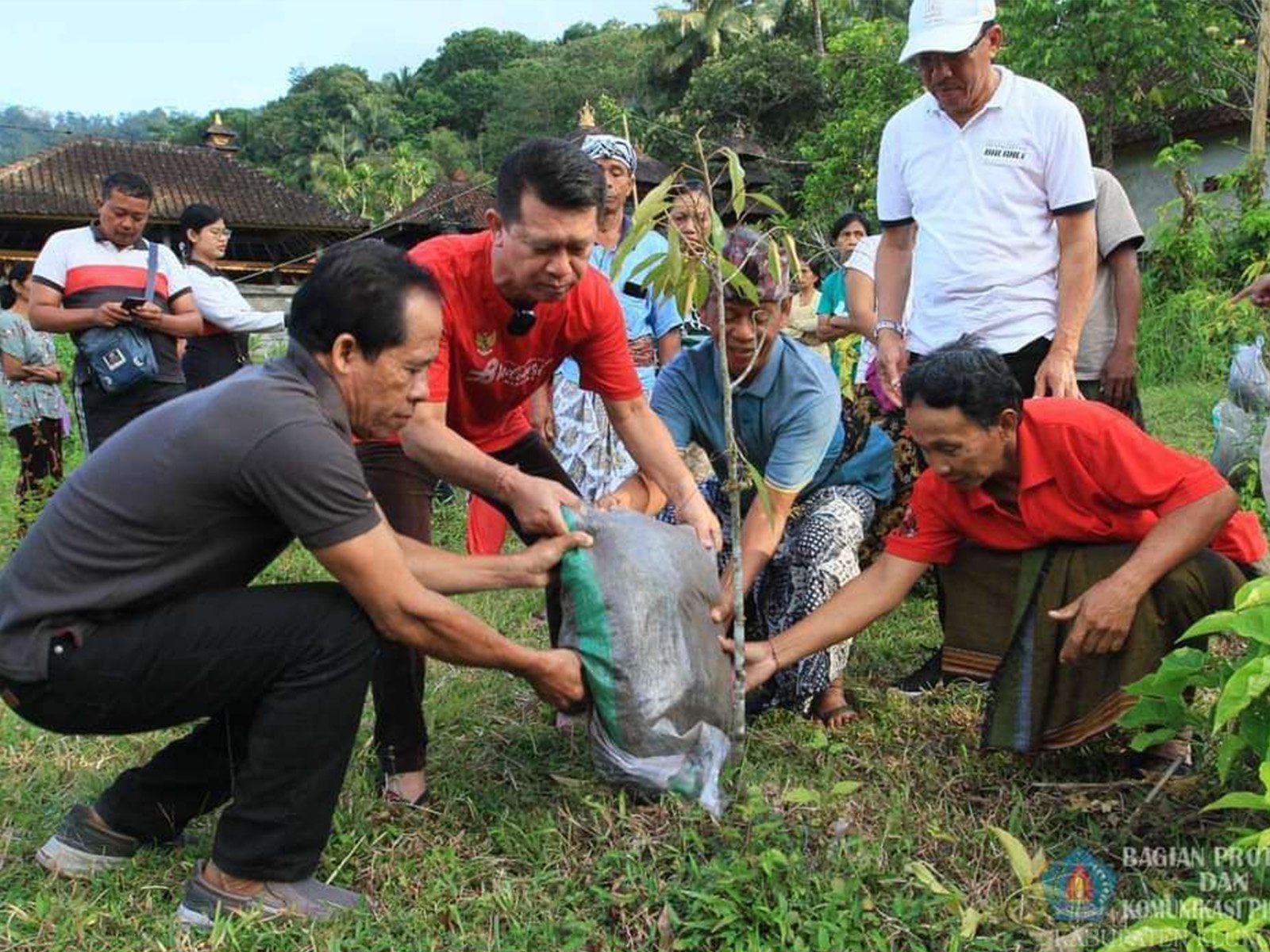 Organic Farming at Desa Besan